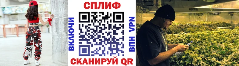 Бошки марихуана гибрид  Купить где  Новотитаровская 